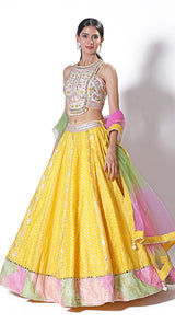 Daisy yellow banarasi lehenga