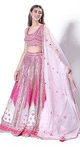 Sheeshadori pink applique lehenga
