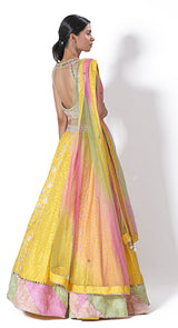 Daisy yellow banarasi lehenga