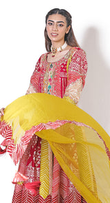 Brocade multi jamavar sharara