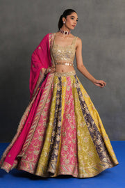 Multicolour Panelled Lehenga Set
