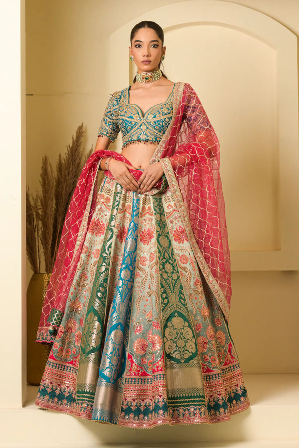 Aabha Multicolour Banarasi Panelled Lehenga Set