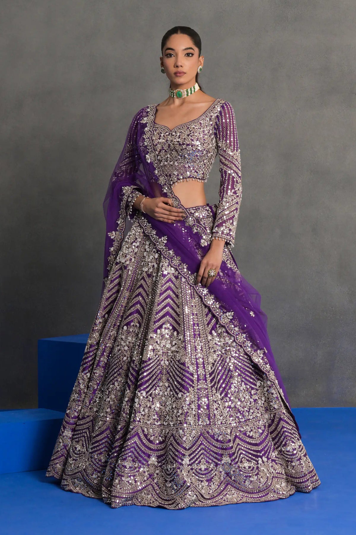 Purple and Silver Embellished Lehenga Set