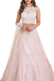 Blush pearl embroidered lehenga - detail view
