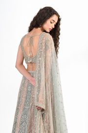 Saaya Pastel Lehenga Set