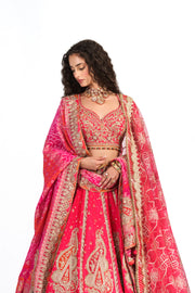 Roohani Rani Bridal Lehenga