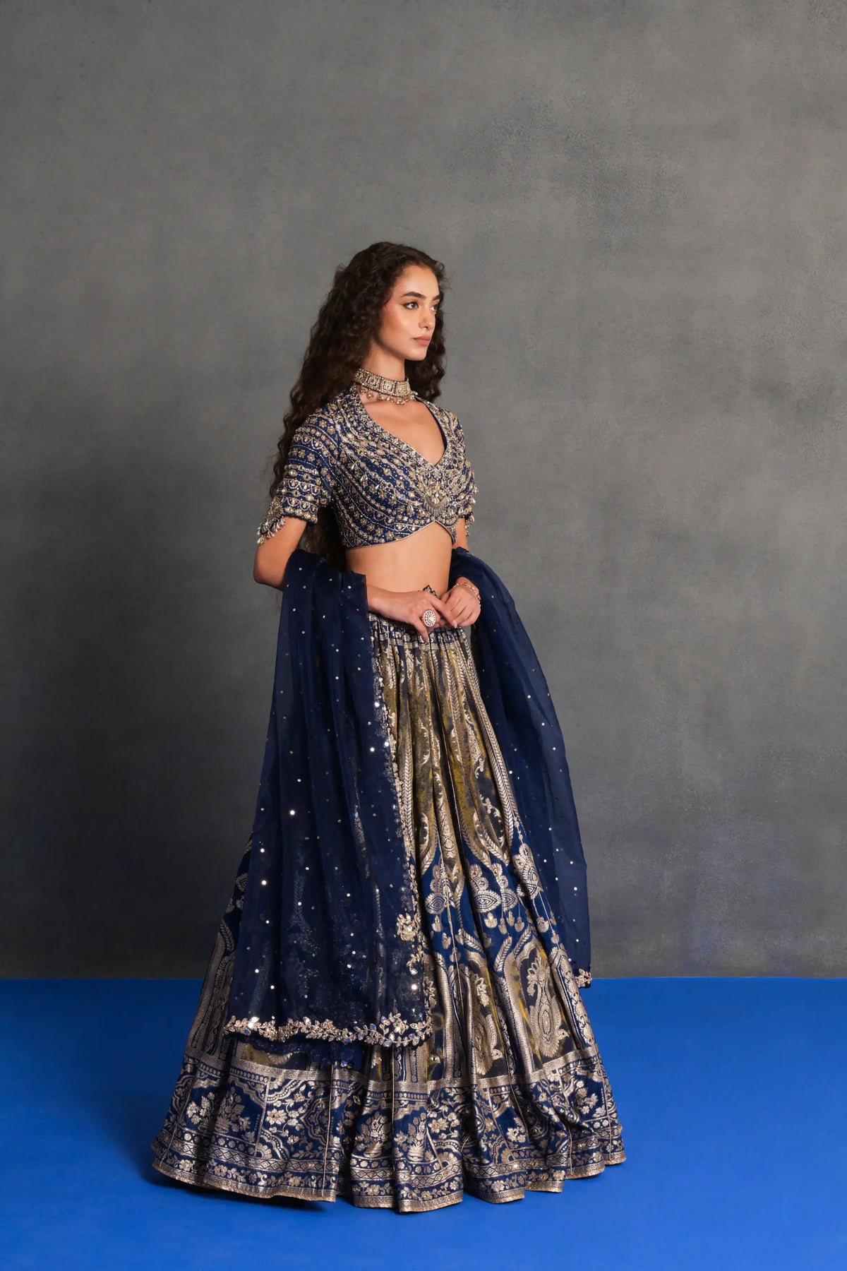Neelambari Banarasi Lehenga