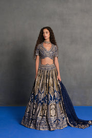 Neelambari Banarasi Lehenga