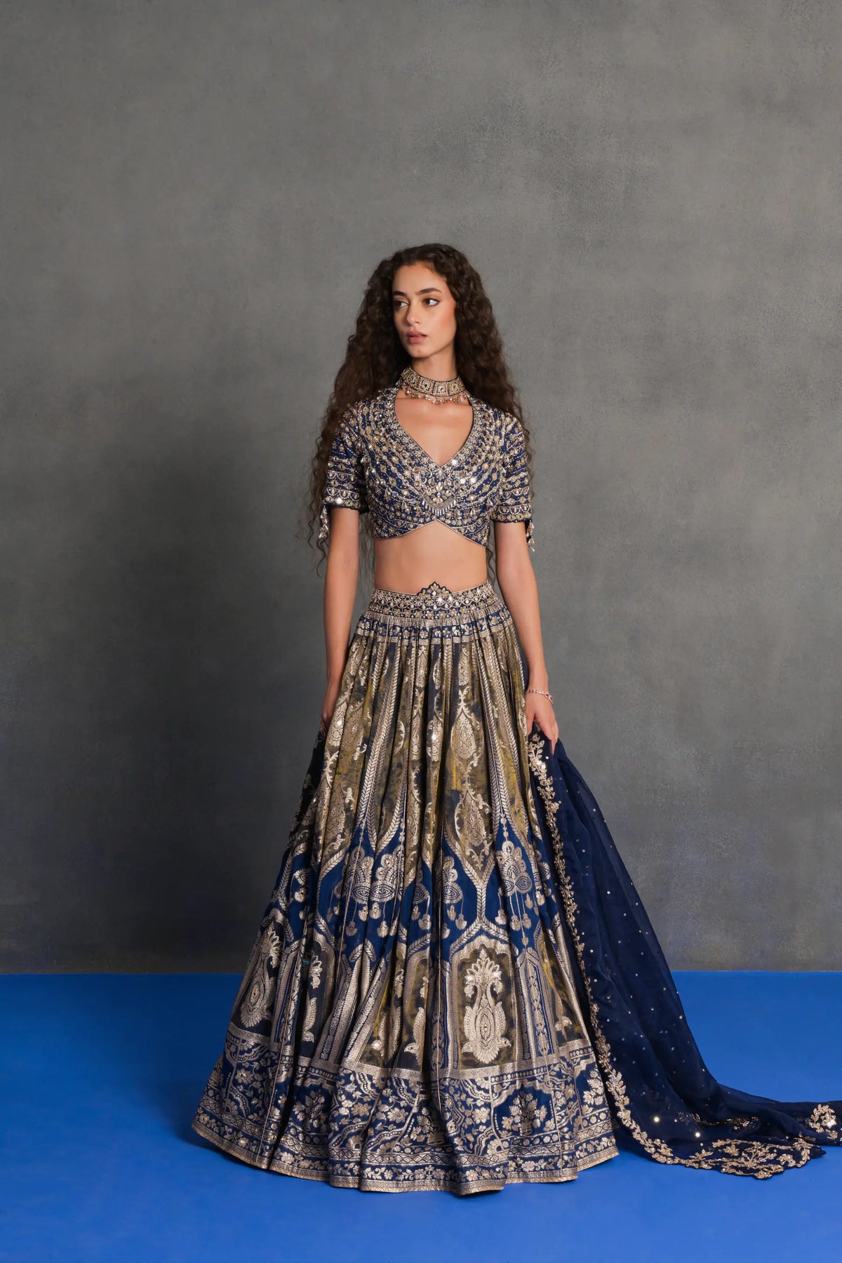 Neelambari Banarasi Lehenga