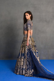 Neelambari Banarasi Lehenga