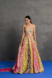 Multicolour Panelled Lehenga Set