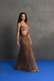 Bronze Sequinned Draped Saree Set