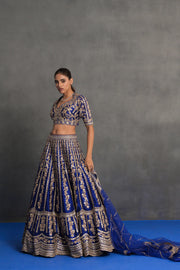 Royal Blue and Gold Embroidered Lehenga Set