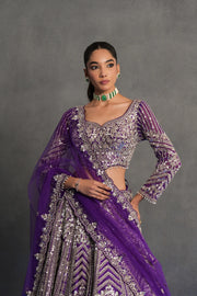 Purple and Silver Embellished Lehenga Set