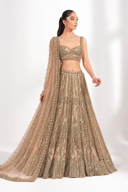 Bhavika Embellished Lehenga
