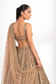Bhavika Embellished Lehenga