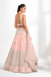 Blush Noor Lehenga Set
