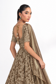 Raina Mocha Embroidered Lehenga