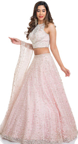 Blush pearl embroidered lehenga - back view