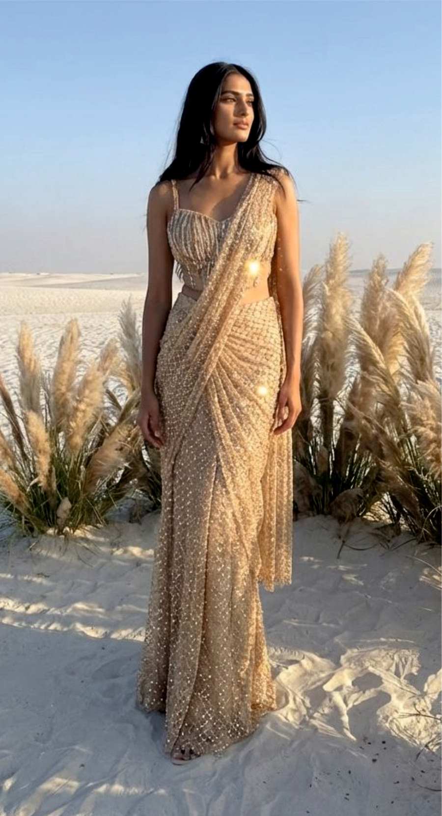 NORAH SEQUIN DRAPE SAREE