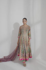 Multicolour Embroidered Anarkali Suit