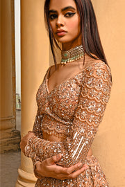 MERAKI IN CHAMPAGNE