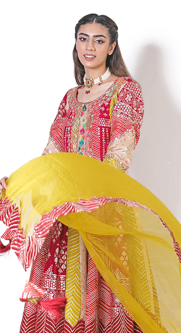Brocade multi jamavar sharara
