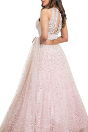 lehenga non bridal